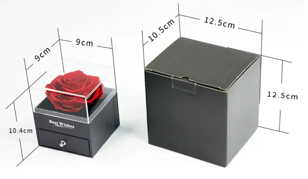 Preserved Rose Jewelry Box and Necklace